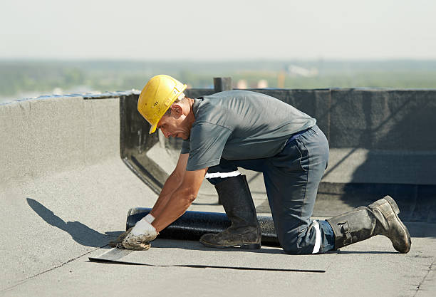Best Insulation Repair Services  in Toledo, IA