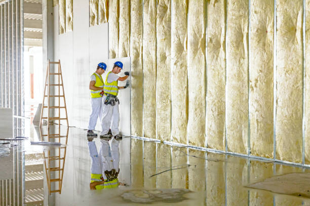 Best Crawl Space Insulation  in Toledo, IA